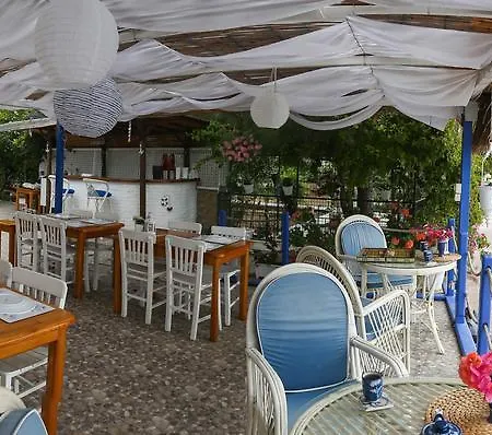 Melek ボズブルン