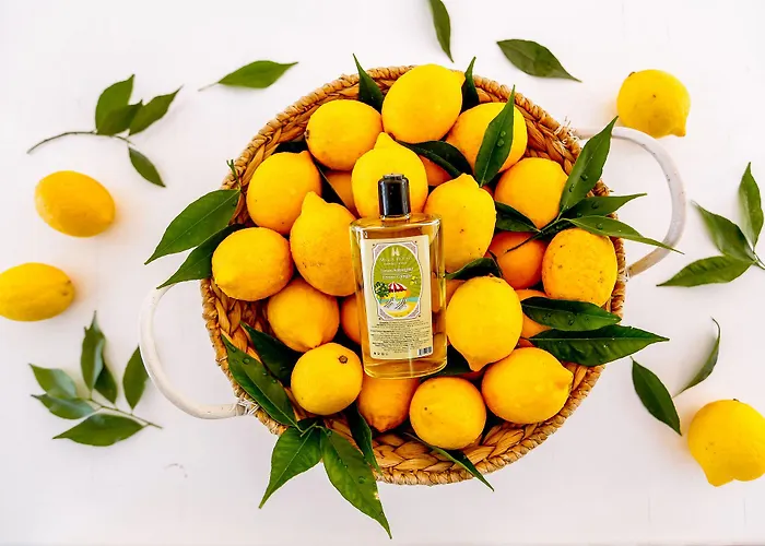 Melek Ξενοδοχείο