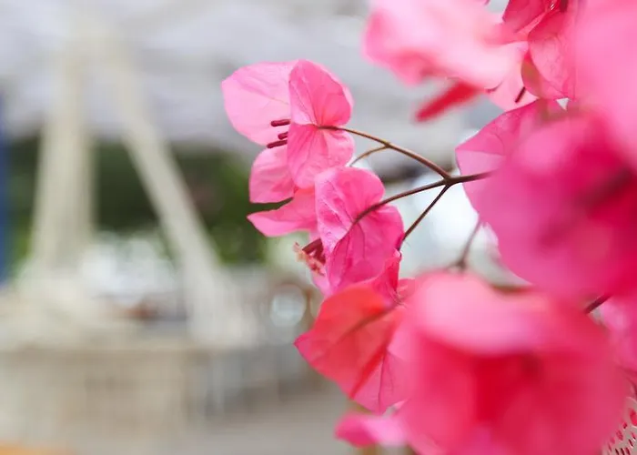 Hotel Melek Bozburun