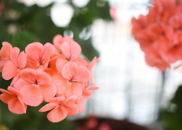 Ξενοδοχείο Melek Bozburun